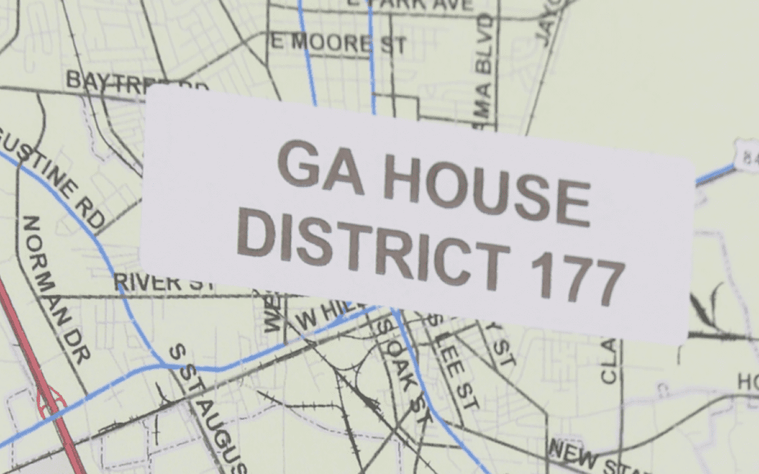 Grassroots groups push voter turnout as Lowndes County decides who fills Georgia House District 177 seat